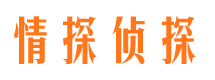 北塔市侦探调查公司